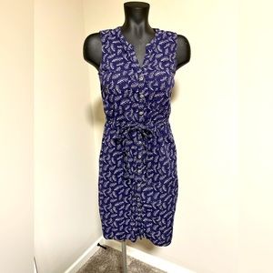 Blue Sleeveless Dress